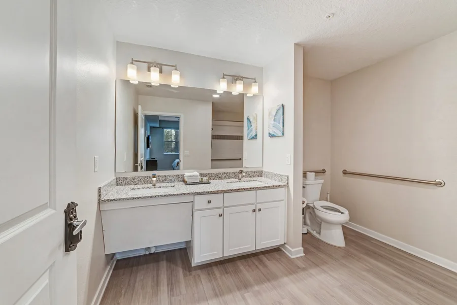 Bathroom vanity and WC